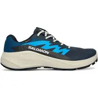Salomon Alphaglide Gore-tex Trail Running Shoes Bleu EU 43 1/3 Homme