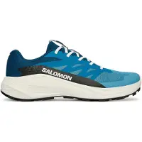 Salomon Alphaglide Trail Running Shoes Bleu EU 46 2/3 Homme