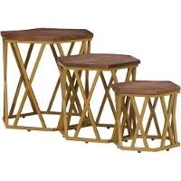 vidaXL Tables basses marron 55 x 55 x 50 cm bois massif mangue