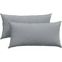 vidaXL Coussins de canapé 2 pcs Gris clair 80 x 40 cm tissu