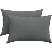 vidaXL Coussins de canapé 2 pcs Gris foncé 60 x 40 cm tissu