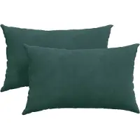 vidaXL Coussins de canapé 2 pcs Vert foncé 50 x 30 cm