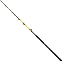Shimano Fishing Beastmaster Cx Standup Spiral Trolling Rod Argenté 1.65 m / 80 Lbs
