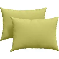 vidaXL Coussins de canapé 2 pcs Vert clair 70 x 50 cm tissu