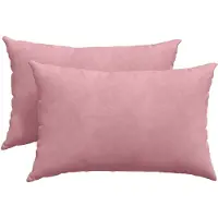 vidaXL Coussins de canapé 2 pcs Rose 60 x 40 cm