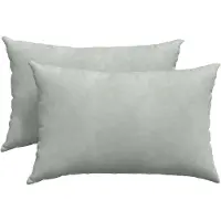 vidaXL Coussins de canapé 2 pcs Gris clair 60 x 40 cm