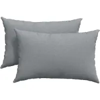 vidaXL Coussins de canapé 2 pcs Gris clair 60 x 40 cm tissu