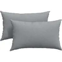 vidaXL Coussins de canapé 2 pcs Gris clair 50 x 30 cm tissu