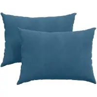 vidaXL Coussins de canapé 2 pcs Bleu 70 x 50 cm