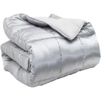 vidaXL Couverture d'hiver , 200 x 200 cm, 450 g/m², couleur argent
