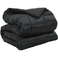 vidaXL Couverture d'hiver 200 x 240 cm, 450 g/m², noire