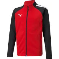 Puma Sweats Teamliga Poly 65723501