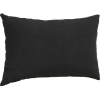 vidaXL Coussins de canapé 2 pcs Noir 145 x 40 cm
