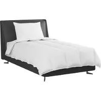 vidaXL Couette 2 en 1 avec oreiller 2 pcs Blanc Plume de duvet