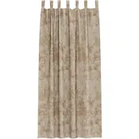 vidaXL Rideaux en velours avec tringles 2 pièces Champagne 260 x 140 cm Velours