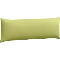 vidaXL Coussins de canapé 2 pcs Vert clair 120 x 40 cm tissu