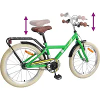 vidaXL Vélo enfant 20 pouces pour 6-11 ans Vert