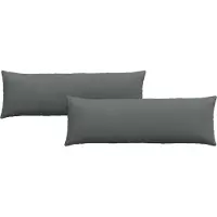 vidaXL Coussins de canapé 2 pcs Gris foncé 120 x 40 cm tissu