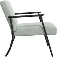 vidaXL fauteuil Gris clair 59 x 75 x 78 cm Velours