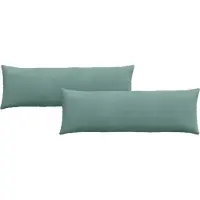 vidaXL Coussins de canapé 2 pcs Vert Mer 120 x 40 cm