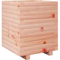 vidaXL Jardinière 40x40x49,5 Cm Bois Massif Douglas