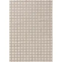 Interiyou Tapis d'intérieur et d'extérieur Kano Crème/Beige A4 240 x 350 cm