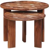 vidaXL Tables basses gigognes 2 pièces Multicolore Bois massif ancien