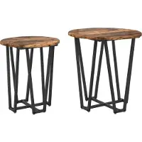 vidaXL Ensemble de tables d'appoint 2 pcs Chêne fumé et noir