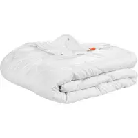 Sleepling Couette 200 x 220 cm, couette 4 saisons, 100% microfibres, convient aux personnes allergiques, Basic 100