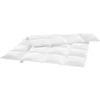 Sleepling Couette légère en duvet, 155 x 220 cm, couette d'été, composition : 60% duvet / 40% plumes, lavable,
