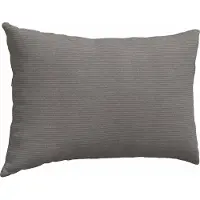 vidaXL Coussins de canapé 2 pcs Gris clair 60 x 40 cm