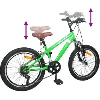 vidaXL Vélo tout terrain 20 pouces, 6 vitesses, pour enfants de 5 à 8 ans, vert