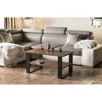 Endo -Möbel Table basse Inga 110x65x53 cm patins Table de salon avec étagère (Chêne Monastère)