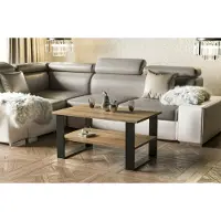 Endo -Möbel Table basse Inga 110x65x53 cm patins Table de salon avec étagère (chêne Wotan)