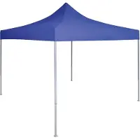 vidaXL Tente de fête 200 x 200 x 315 cm, bleu, tissu Oxford
