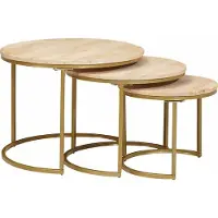 vidaXL Ensemble de 3 tables basses emboîtables, marron, en bois massif de manguier et acier