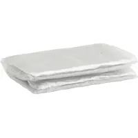 vidaXL Bâche de protection pour plantes transparente 2 x 2 m en PVC