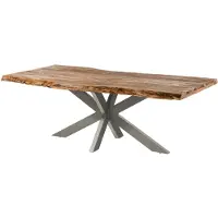 MASSIVMOEBEL24.DE MASSIVMOEBEL24 | Table à manger 240x100 en bois de Sheesham sablé naturel pied central gris FREEFORM 5