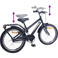vidaXL Vélo enfant 20 pouces pour 6-11 ans noir