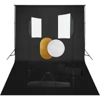 vidaXL Kit de studio photo boîtes à lumière toile de fond réflecteur