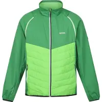 Regatta - Veste softshell « Steren Hybrid » pour homme RG9163 (M) (vert militaire/vert jasmin)