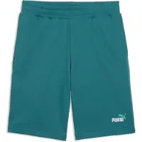 Puma Hommes, Short, ESS 2 COLOR No. 1 Logo Shorts 10" TR, Multicolore, (S)