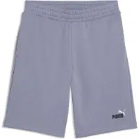 Puma Hommes, Bas de sport, ESS 2 COLOR No. 1 Logo Shorts 10" TR (M), Gris