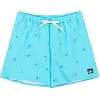 Quiksilver - Short de bain - Stretch Printed Volley 16 Aqua Spaced Out pour Homme - Taille M - Bleu