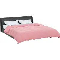 vidaXL - Couverture d'hiver 220 x 240 cm, microfibre (100% polyester)
