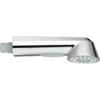 GROHE Eurodisc Cosmopolitan Douchette pour mitigeur d'évier chromé - 46769000