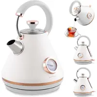 Berdsen Bouilloire électrique Théière Sélection de la température 1,7L BD-701 blanc