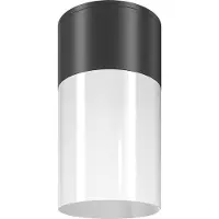 Maytoni Willis plafonnier, lampe de plafond E27 noir IP54 (E27)