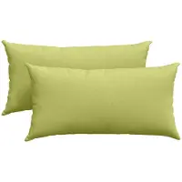 vidaXL Coussins de canapé 2 pcs Vert clair 80 x 40 cm tissu