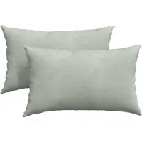 vidaXL Coussins de canapé 2 pcs Gris clair 50 x 30 cm